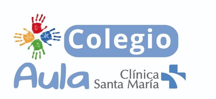LOGO CSM
